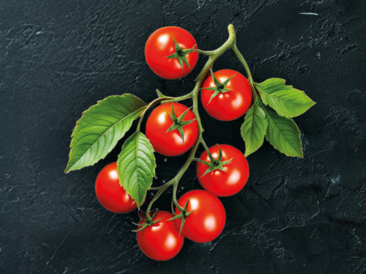 Tomaten Crema