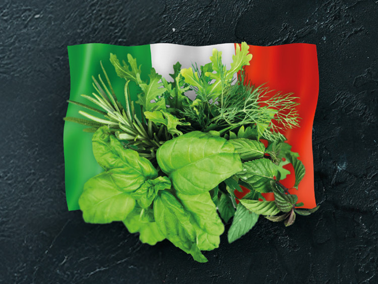 Italienisches Kräuteröl